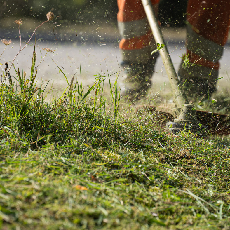 Homme en tenue de jardinage utilisant une débroussailleuse dans un jardin.