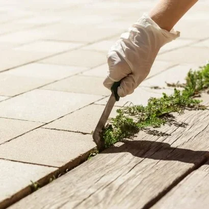 Main d’un jardinier en train de désherber les joints de dalles avec un outil.